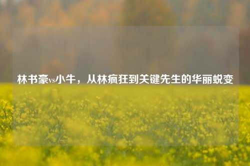 林书豪vs小牛，从林疯狂到关键先生的华丽蜕变