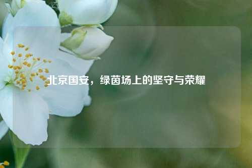 北京国安，绿茵场上的坚守与荣耀