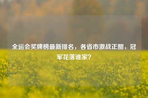 全运会奖牌榜最新排名，各省市激战正酣，冠军花落谁家？