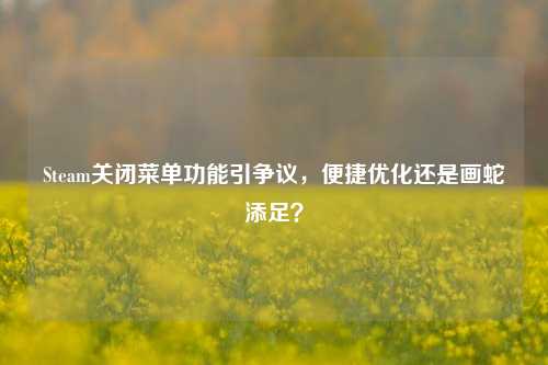 Steam关闭菜单功能引争议，便捷优化还是画蛇添足？