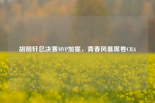 胡明轩总决赛MVP加冕，青春风暴席卷CBA