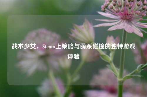 战术少女，Steam上策略与萌系碰撞的独特游戏体验