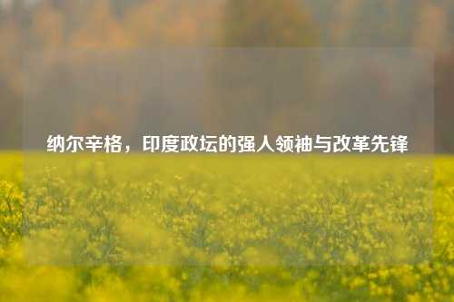 纳尔辛格，印度政坛的强人领袖与改革先锋