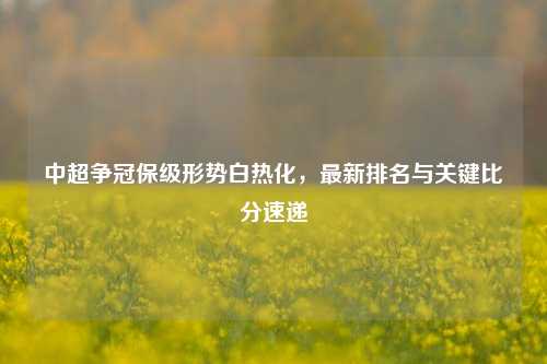 中超争冠保级形势白热化，最新排名与关键比分速递