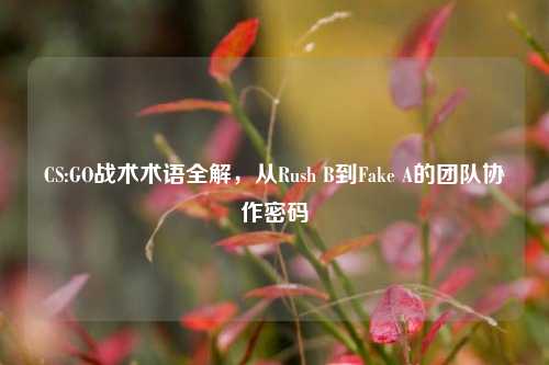 CS:GO战术术语全解，从Rush B到Fake A的团队协作密码