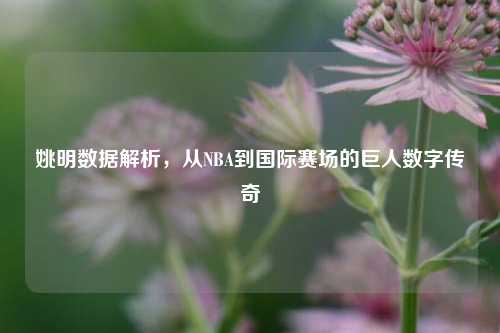姚明数据解析，从NBA到国际赛场的巨人数字传奇
