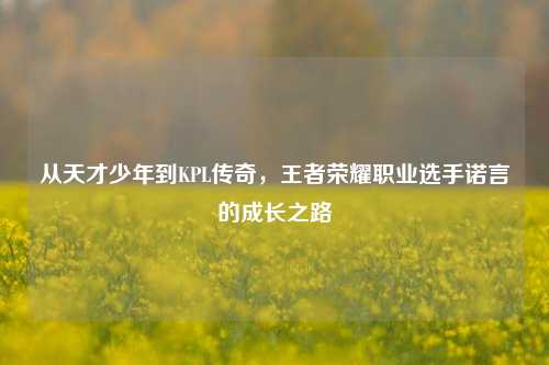 从天才少年到KPL传奇，王者荣耀职业选手诺言的成长之路