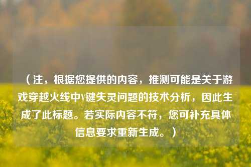 （注，根据您提供的内容，推测可能是关于游戏穿越火线中V键失灵问题的技术分析，因此生成了此标题。若实际内容不符，您可补充具体信息要求重新生成。）