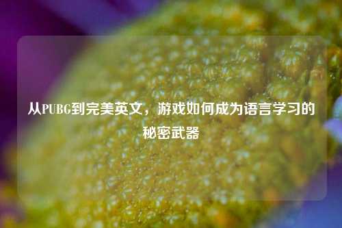 从PUBG到完美英文，游戏如何成为语言学习的秘密武器