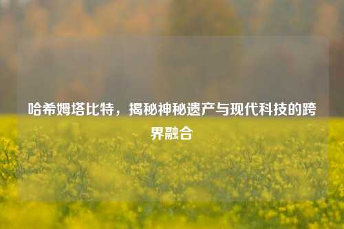 哈希姆塔比特，揭秘神秘遗产与现代科技的跨界融合