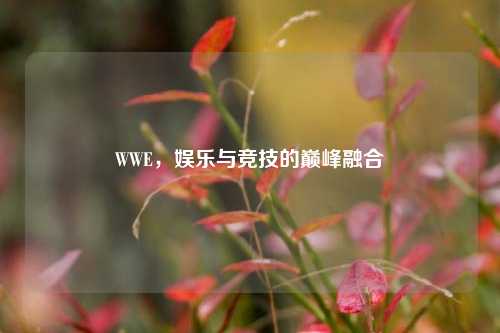 WWE，娱乐与竞技的巅峰融合
