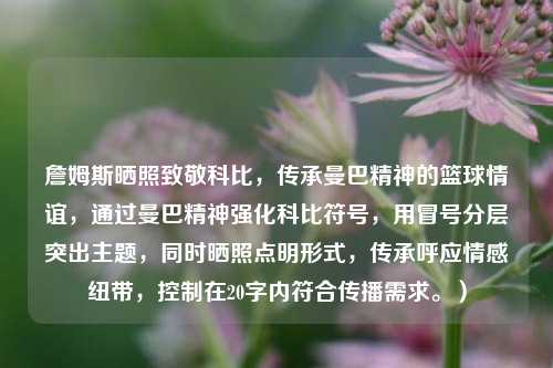 詹姆斯晒照致敬科比，传承曼巴精神的篮球情谊，通过曼巴精神强化科比符号，用冒号分层突出主题，同时晒照点明形式，传承呼应情感纽带，控制在20字内符合传播需求。）