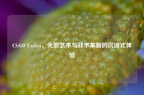 CS:GO Umbra，光影艺术与战术革新的沉浸式体验