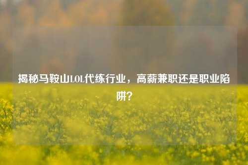 揭秘马鞍山LOL代练行业，高薪兼职还是职业陷阱？