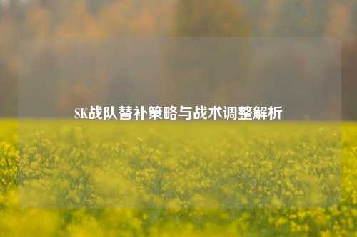 SK战队替补策略与战术调整解析