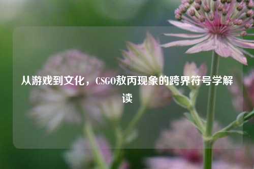 从游戏到文化，CSGO敖丙现象的跨界符号学解读