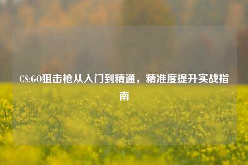 CS:GO狙击枪从入门到精通，精准度提升实战指南