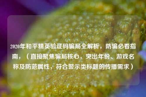 2020年和平精英验证码骗局全解析，防骗必看指南，（直接聚焦骗局核心，突出年份、游戏名称及防范属性，符合警示类标题的传播需求）