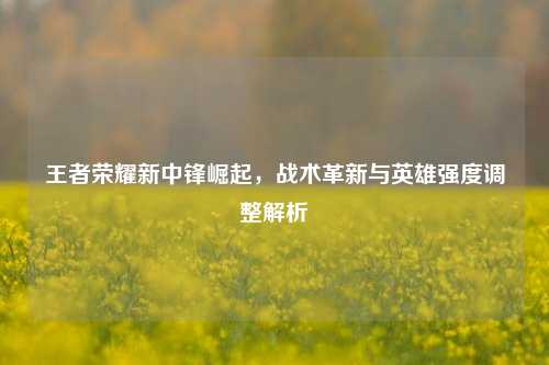 王者荣耀新中锋崛起，战术革新与英雄强度调整解析