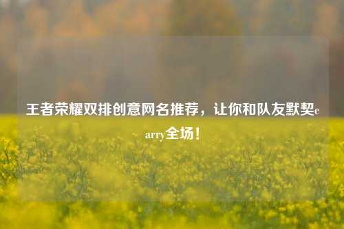 王者荣耀双排创意网名推荐，让你和队友默契carry全场！