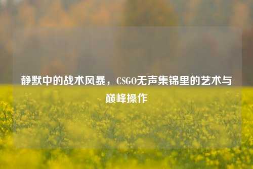 静默中的战术风暴，CSGO无声集锦里的艺术与巅峰操作