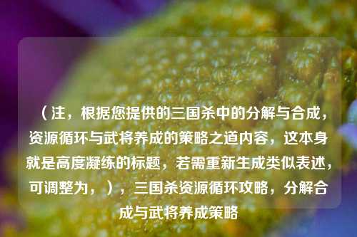 （注，根据您提供的三国杀中的分解与合成，资源循环与武将养成的策略之道内容，这本身就是高度凝练的标题，若需重新生成类似表述，可调整为，），三国杀资源循环攻略，分解合成与武将养成策略