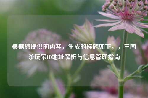 根据您提供的内容，生成的标题如下，，三国杀玩家ID地址解析与信息管理指南