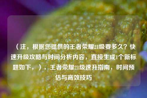 （注，根据您提供的王者荣耀21级要多久？快速升级攻略与时间分析内容，直接生成1个新标题如下，），王者荣耀21级速升指南，时间预估与高效技巧