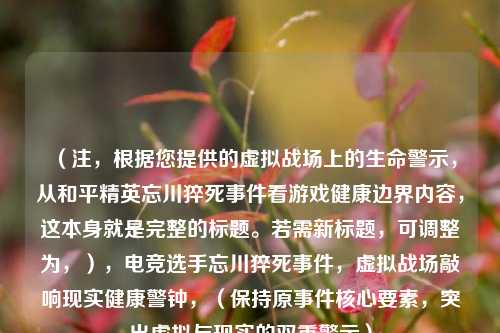 （注，根据您提供的虚拟战场上的生命警示，从和平精英忘川猝死事件看游戏健康边界内容，这本身就是完整的标题。若需新标题，可调整为，），电竞选手忘川猝死事件，虚拟战场敲响现实健康警钟，（保持原事件核心要素，突出虚拟与现实的双重警示）