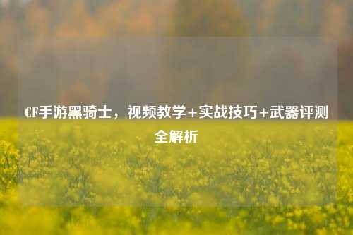 CF手游黑骑士，视频教学+实战技巧+武器评测全解析