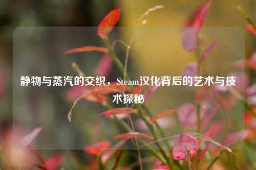 静物与蒸汽的交织，Steam汉化背后的艺术与技术探秘
