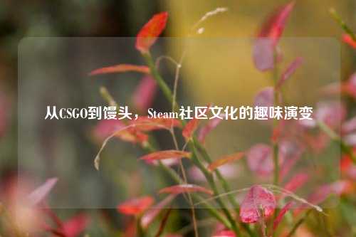 从CSGO到馒头，Steam社区文化的趣味演变