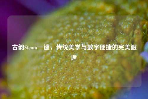 古韵Steam一键，传统美学与数字便捷的完美邂逅