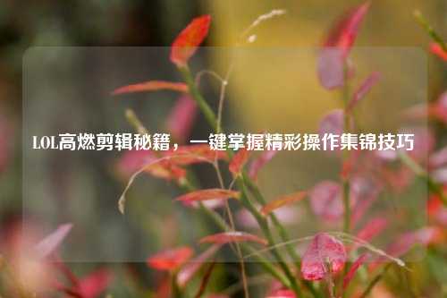 LOL高燃剪辑秘籍，一键掌握精彩操作集锦技巧
