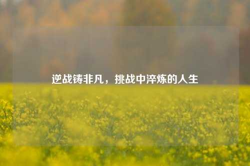 逆战铸非凡，挑战中淬炼的人生