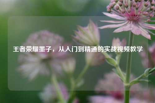 王者荣耀墨子，从入门到精通的实战视频教学