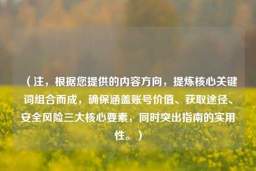（注，根据您提供的内容方向，提炼核心关键词组合而成，确保涵盖账号价值、获取途径、安全风险三大核心要素，同时突出指南的实用性。）