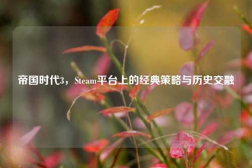 帝国时代3，Steam平台上的经典策略与历史交融