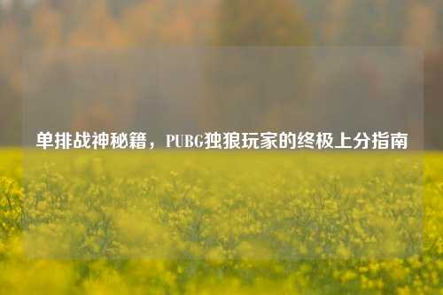 单排战神秘籍，PUBG独狼玩家的终极上分指南