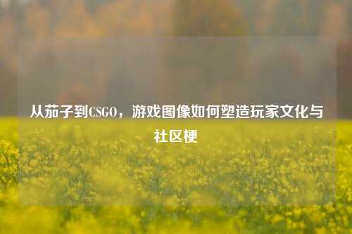 从茄子到CSGO，游戏图像如何塑造玩家文化与社区梗