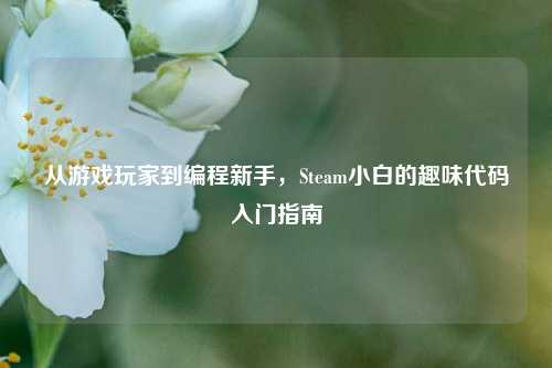 从游戏玩家到编程新手，Steam小白的趣味代码入门指南