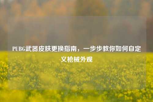 PUBG武器皮肤更换指南，一步步教你如何自定义枪械外观