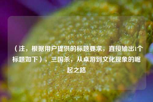 （注，根据用户提供的标题要求，直接输出1个标题如下），三国杀，从桌游到文化现象的崛起之路