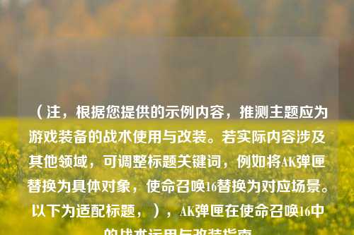 （注，根据您提供的示例内容，推测主题应为游戏装备的战术使用与改装。若实际内容涉及其他领域，可调整标题关键词，例如将AK弹匣替换为具体对象，使命召唤16替换为对应场景。以下为适配标题，），AK弹匣在使命召唤16中的战术运用与改装指南