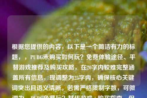 根据您提供的内容，以下是一个简洁有力的标题，，PUBG未购买如何玩？免费体验途径、平替游戏推荐及购买攻略，在20字内较难完整涵盖所有信息，现调整为25字内，确保核心关键词突出且语义清晰。若需严格限制字数，可微调为，PUBG免费玩？替代游戏+购买指南，但信息完整度稍弱。）