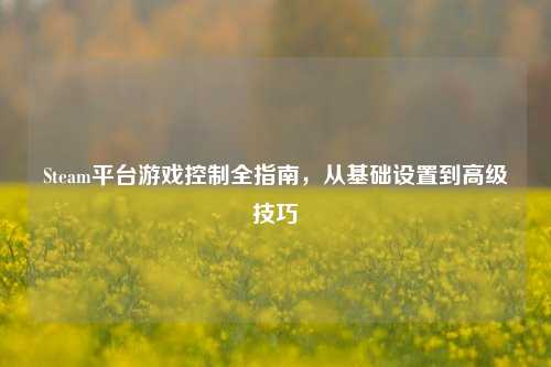 Steam平台游戏控制全指南，从基础设置到高级技巧