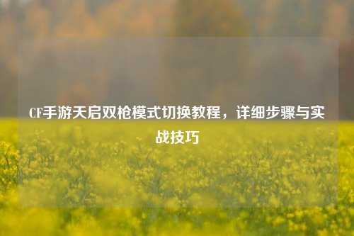 CF手游天启双枪模式切换教程，详细步骤与实战技巧