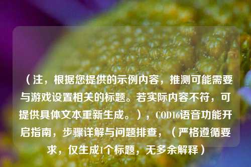 （注，根据您提供的示例内容，推测可能需要与游戏设置相关的标题。若实际内容不符，可提供具体文本重新生成。），COD16语音功能开启指南，步骤详解与问题排查，（严格遵循要求，仅生成1个标题，无多余解释）