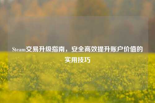 Steam交易升级指南，安全高效提升账户价值的实用技巧