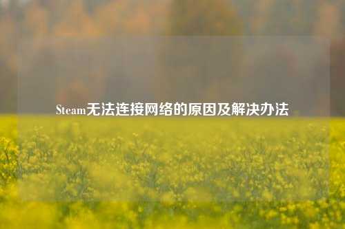 Steam无法连接网络的原因及解决办法